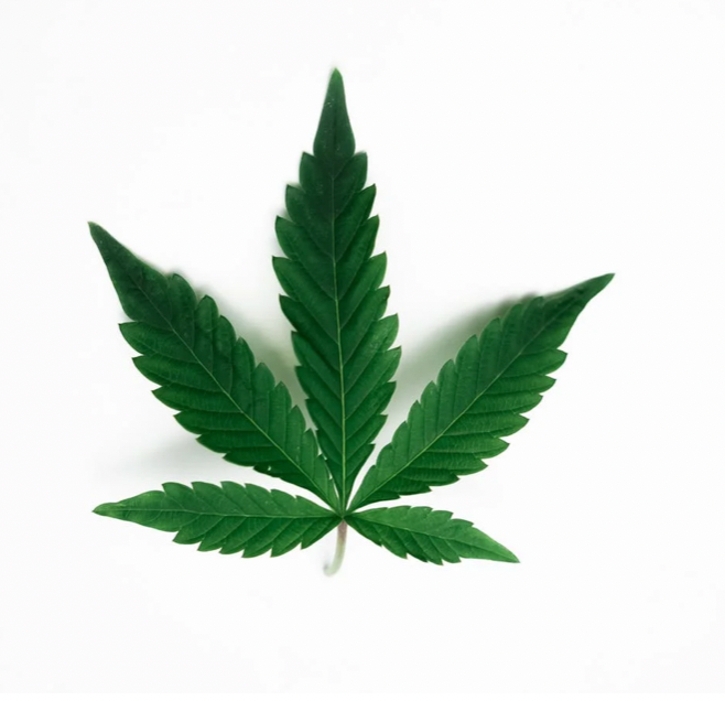 How does CBD work?